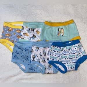 Bluey Potty Training Underwear